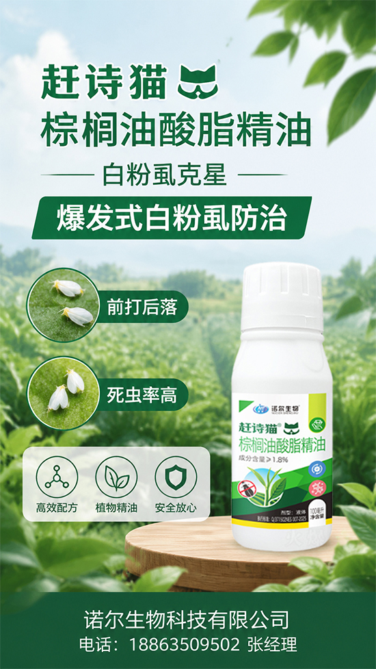 未标�?1.jpg