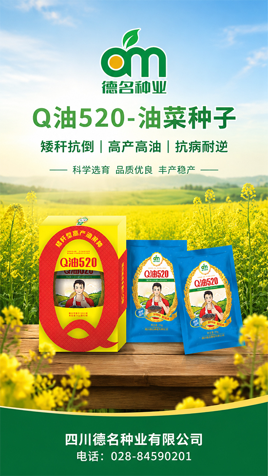 鏈爣棰?1.jpg 鏈爣棰?1.jpg