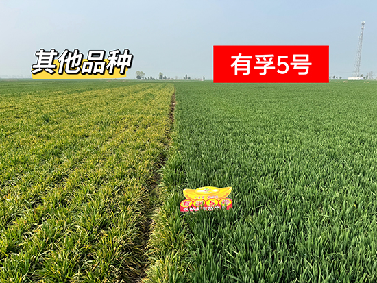 c5106b8df84e81743bb5dbc0c6f22213.jpg