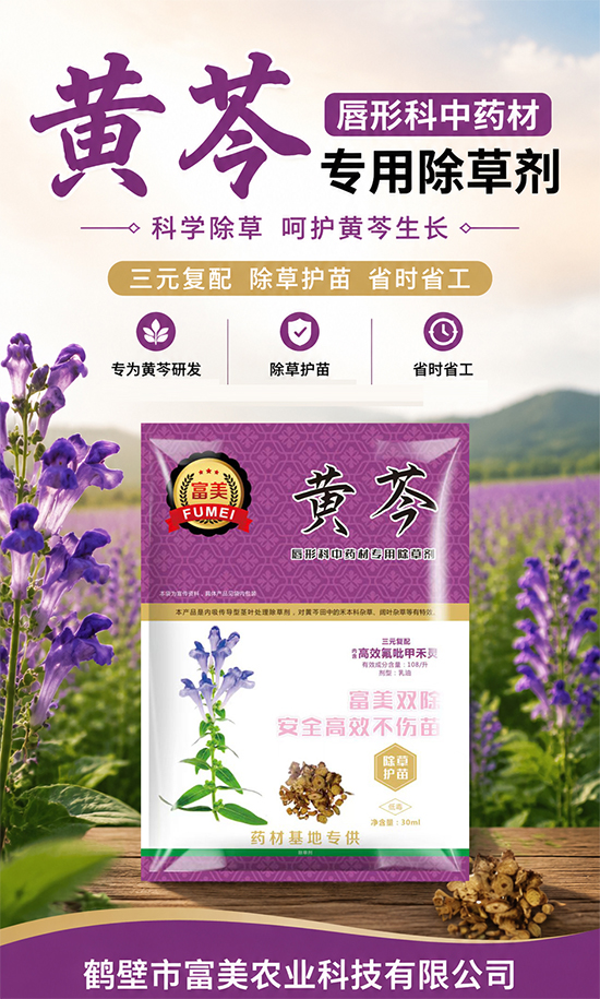 鏈爣棰?1.jpg 鏈爣棰?1.jpg