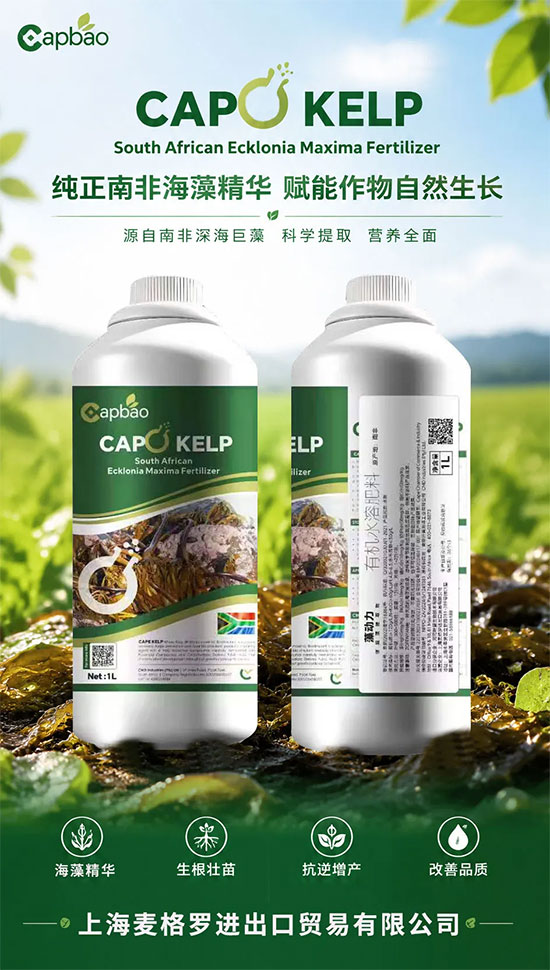 上海麦格罗进出口贸易有限公司2.jpg