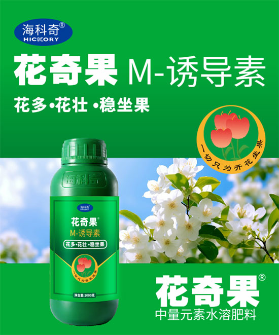 潍坊海科奇进出口有限公司6.jpg
