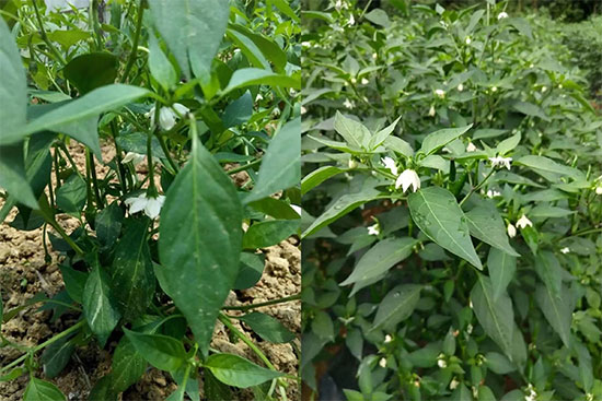 潍坊海科奇进出口有限公司2.jpg