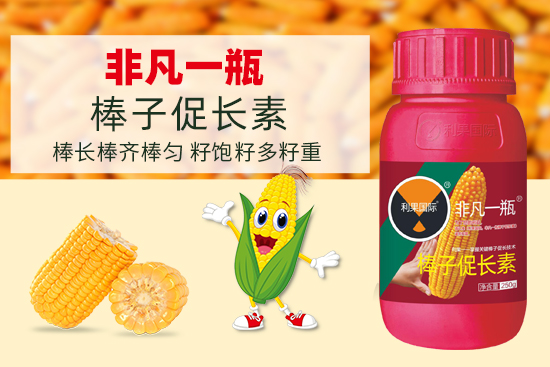 利果1.jpg
