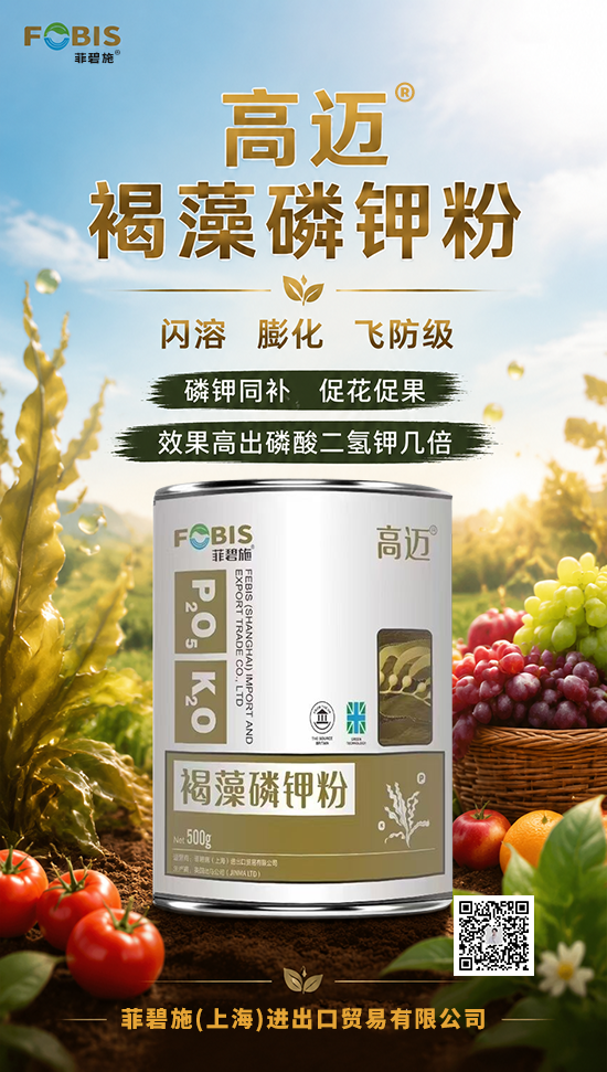 鑿茬ⅶ鏂?涓婃捣)杩涘嚭鍙h锤鏄撴湁闄愬叕鍙?.png 鑿茬ⅶ鏂?涓婃捣)杩涘嚭鍙h锤鏄撴湁闄愬叕鍙?.png