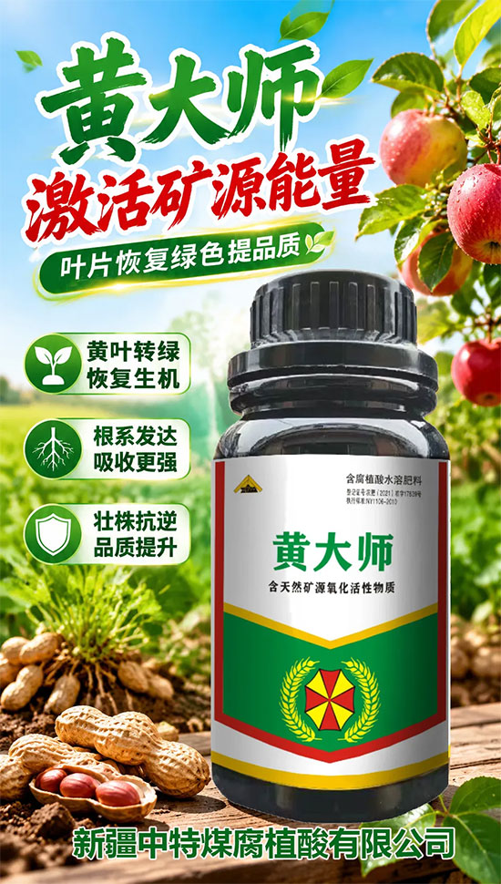 新疆中特煤腐植酸有限公司5.jpg