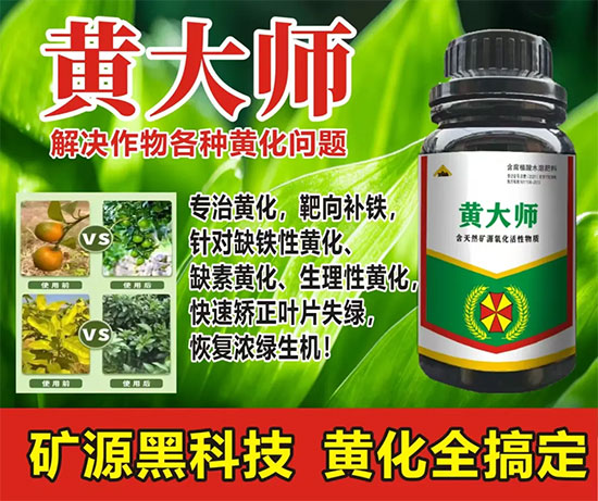 新疆中特煤腐植酸有限公司4.jpg