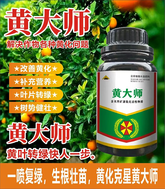 新疆中特煤腐植酸有限公司3.jpg