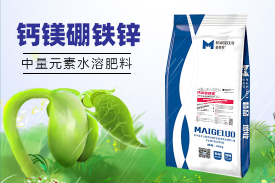 上海麦格罗进出口贸易有限公司2.jpg