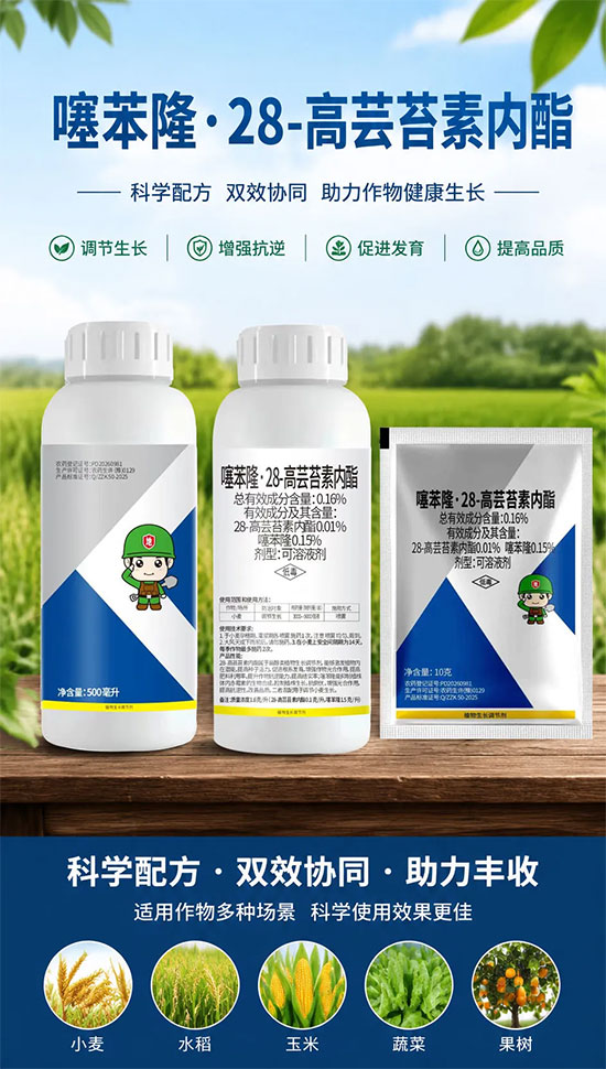 中科1.jpg