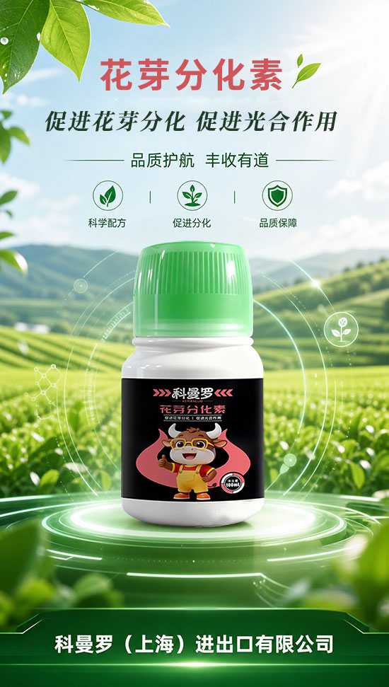 科曼罗（上海）进出口有限公司3.jpg