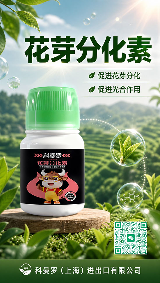 科曼罗（上海）进出口有限公司2.jpg