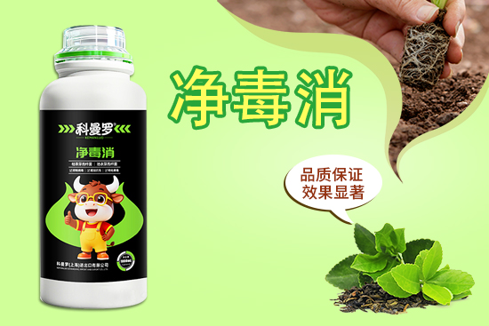 科曼罗（上海）进出口有限公司2.jpg