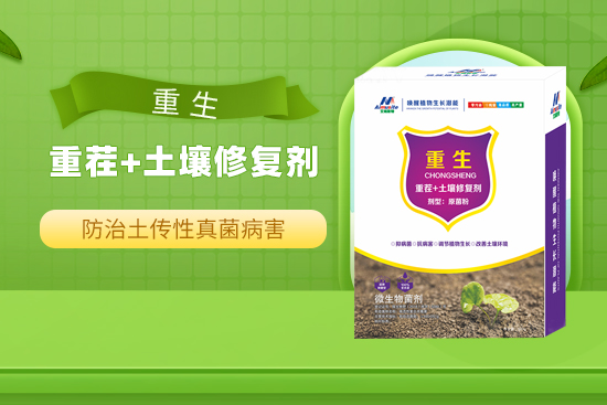 南阳市艾姆斯特植物营养保护有限公�?.jpg
