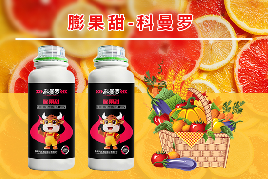 科曼罗（上海）进出口有限公司3.jpg