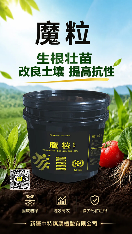 鏂扮枂涓壒鐓よ厫妞嶉吀鏈夐檺鍏徃12.jpg 鏂扮枂涓壒鐓よ厫妞嶉吀鏈夐檺鍏徃12.jpg