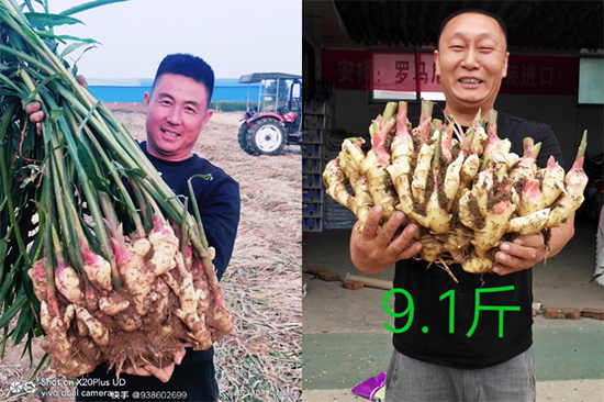 鏂扮枂涓壒鐓よ厫妞嶉吀鏈夐檺鍏徃11.jpg 鏂扮枂涓壒鐓よ厫妞嶉吀鏈夐檺鍏徃11.jpg