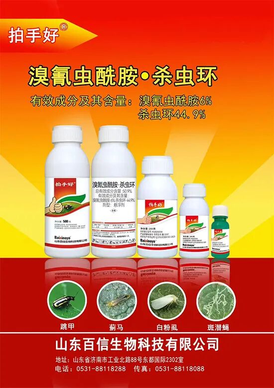 山东百信生物科技有限公司3.jpg