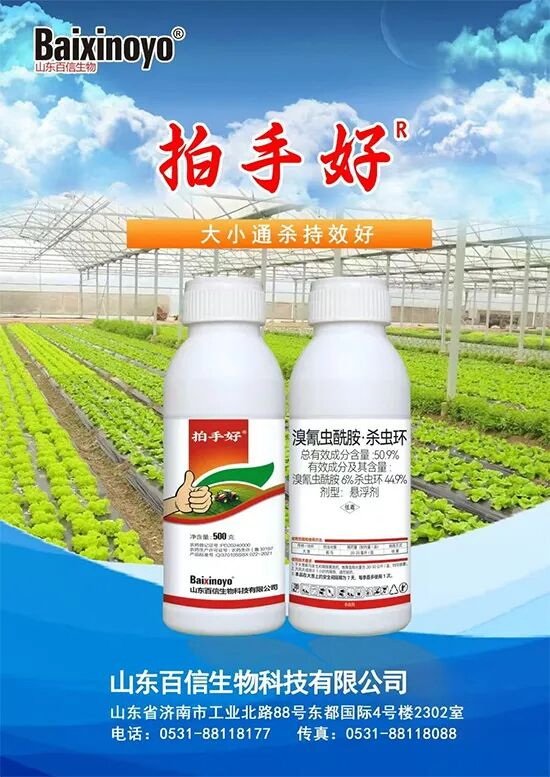 山东百信生物科技有限公司2.jpg