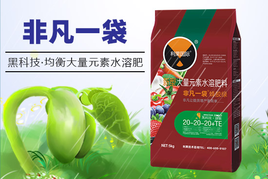 河南省利果生物科技有限公司2.jpg