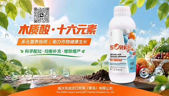 施沃�?.jpg