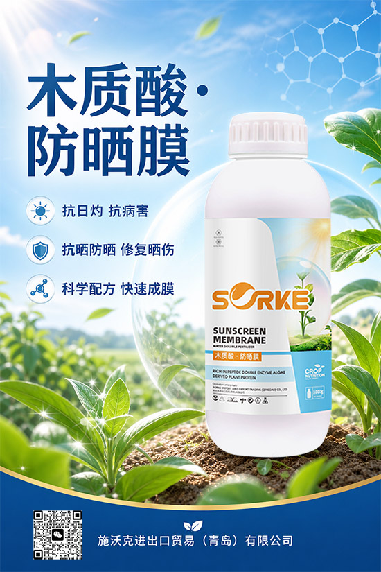 施沃�?.jpg