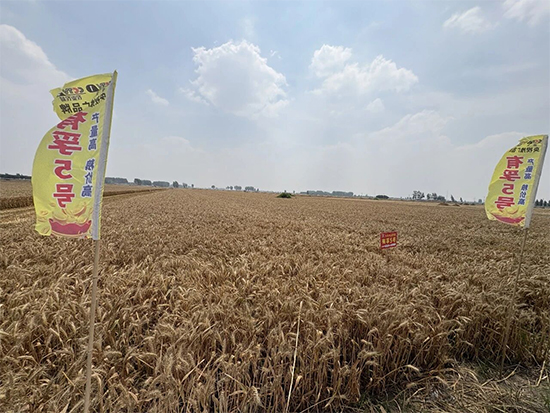 河南省坔育种业有限公�?.jpg