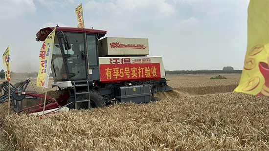 河南省坔育种业有限公�?.jpg