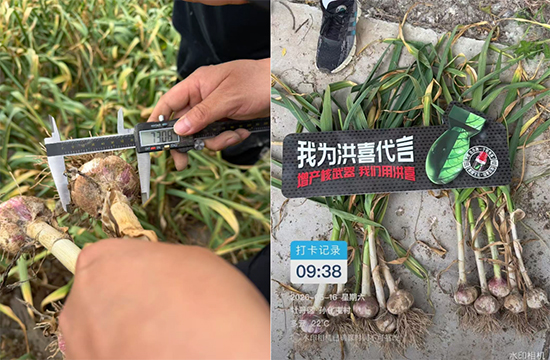 河南艾利农农业科技有限公司6.jpg