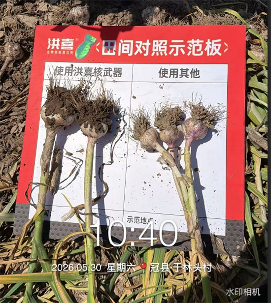 河南艾利农农业科技有限公司5.jpg