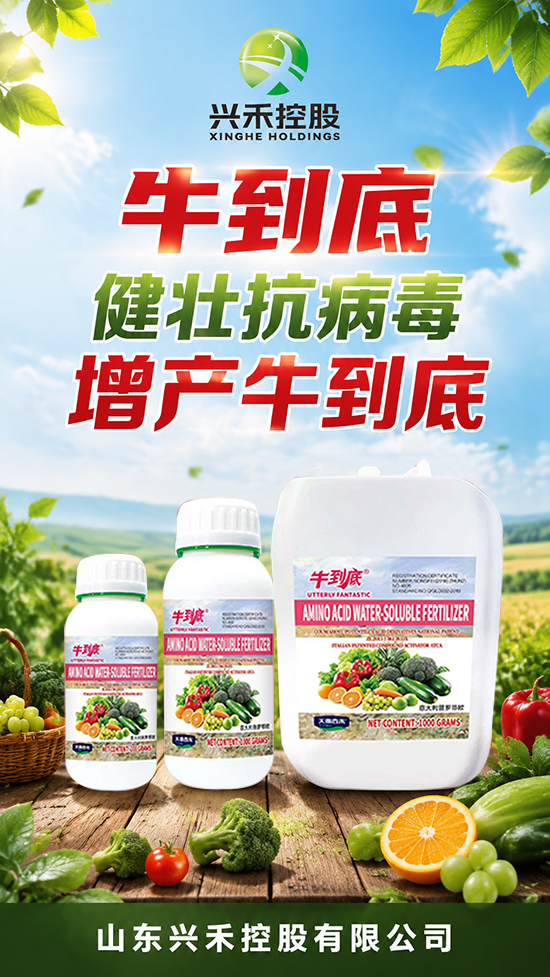 鍏寸550.jpg 鍏寸550.jpg