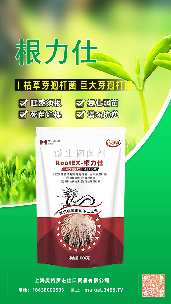 楹︽牸缃?.jpg 楹︽牸缃?.jpg