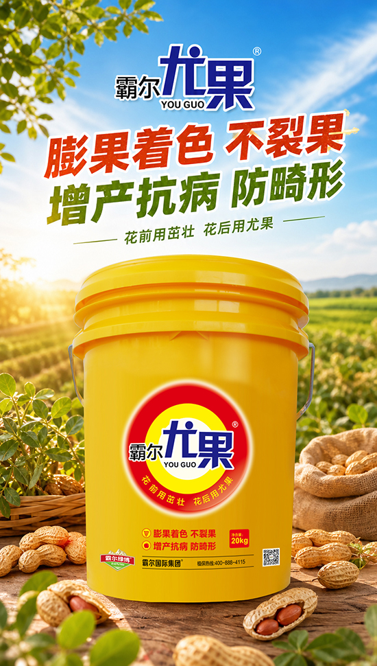 以色列霸尔国际集�?.jpg
