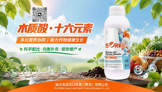 施沃克进出口贸易（青岛）有限公司4.jpg