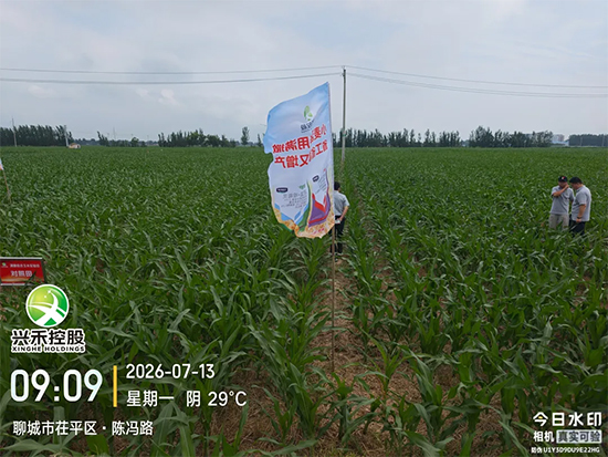 山东兴禾控股有限公司4.jpg
