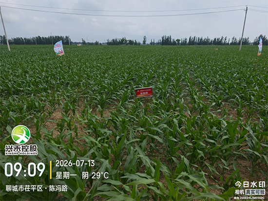 山东兴禾控股有限公司3.jpg