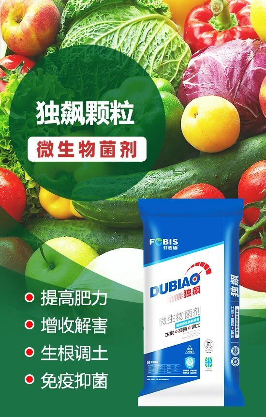 菲碧施（上海）进出口贸易有限公司4.jpg