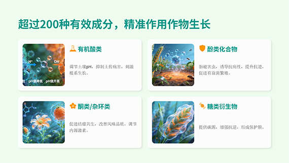 多石粮零售商经销商会议课�?19.jpg