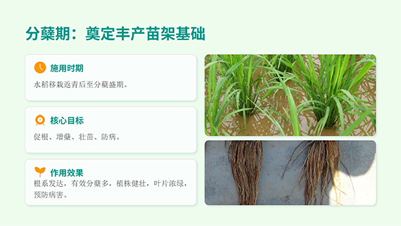 多石粮零售商经销商会议课�?21.jpg