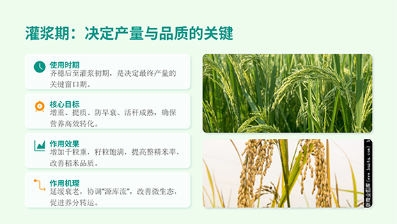 多石粮零售商经销商会议课�?23.jpg