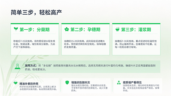多石粮零售商经销商会议课�?24.jpg