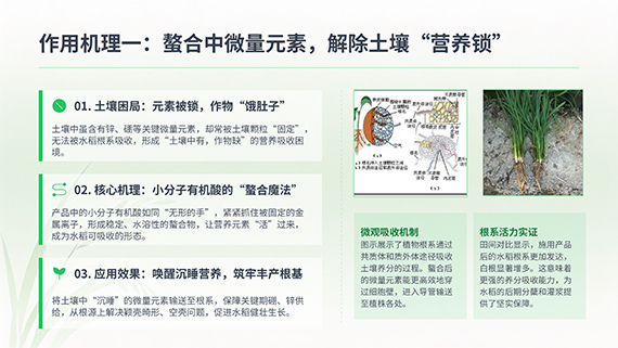多石粮零售商经销商会议课�?25.jpg