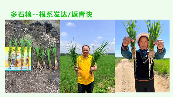 多石粮零售商经销商会议课�?30.jpg
