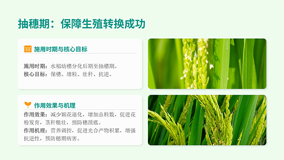 多石粮零售商经销商会议课�?22.jpg