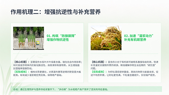 多石粮零售商经销商会议课�?26.jpg