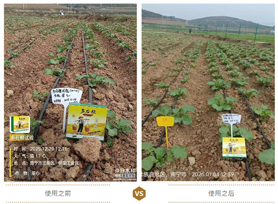 江西蓝道农业科技有限公司9.jpg