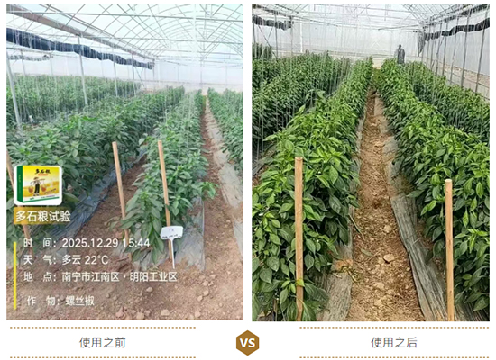 江西蓝道农业科技有限公司8.jpg