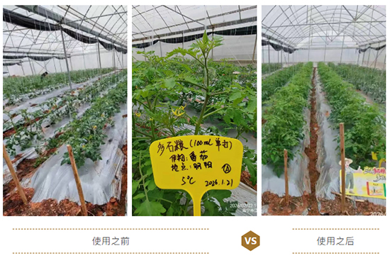 江西蓝道农业科技有限公司7.jpg