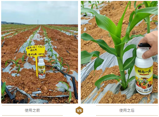 江西蓝道农业科技有限公司6.jpg