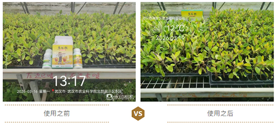 江西蓝道农业科技有限公司5.jpg
